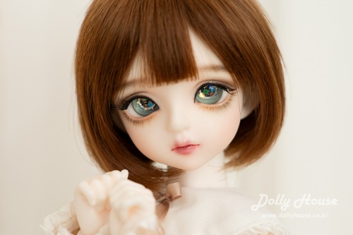 [31 girl doll] Rosemary B type.